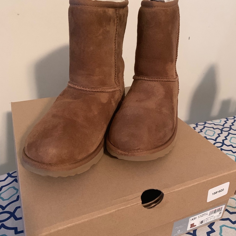 Classic chestnut Uggs II